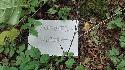 PAROLA PER PAROLA (16)